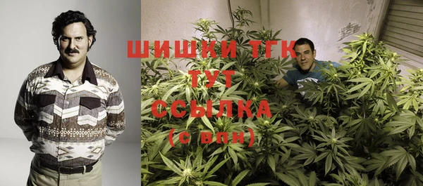 кокс Магас