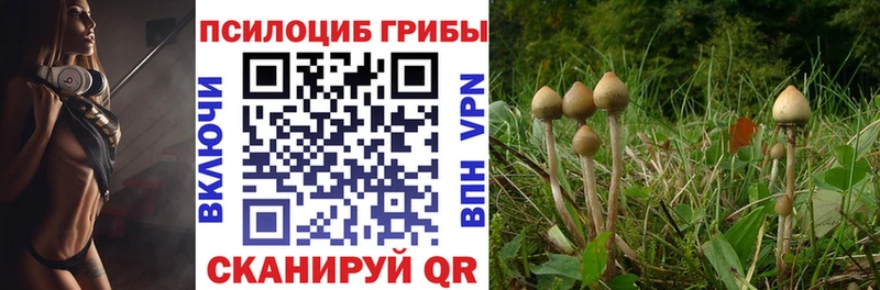 Купить закладки  Новокубанск  Псилоцибиновые грибы Magic Shrooms 